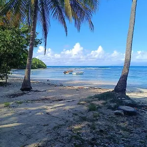  Appartement T1 Bis A Proximite De La Guadeloupe